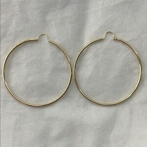 Elegant Gold Hoop Earrings